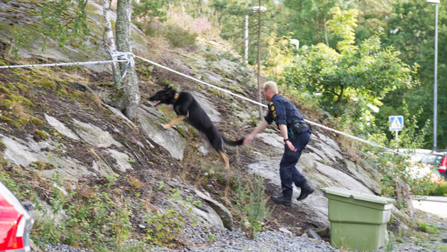 Polisen sökte med hundar i området. Foto: Sven Pernils / Nyheter Idag