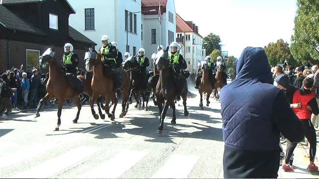 Polishästar deltog i polisens insats i Malmö Foto: Fritz Schibli / TOPNEWS.se