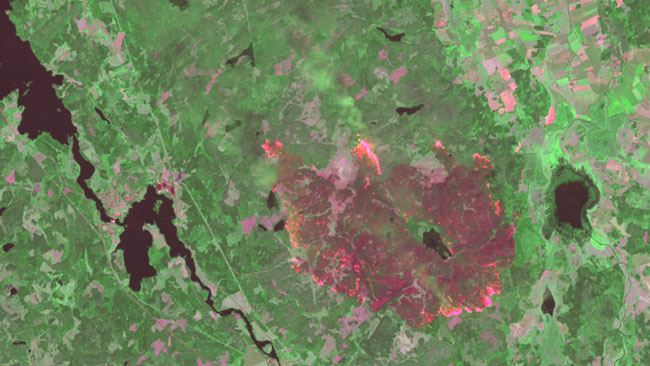 I kanterna av området brinner det öppet på flera ställen. Foto: Landsat 8, NASA/USGS. Bearbetning Metria.