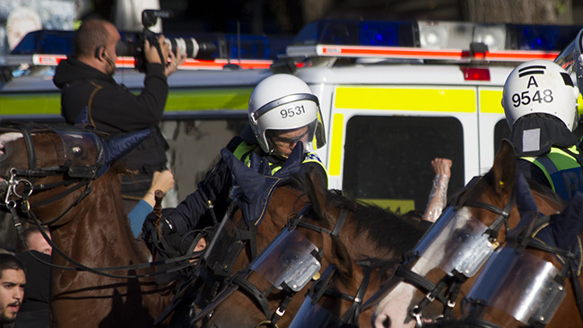 Pållar kan vara bångstyriga ibland. Foto: Jakob Bergman / Nyheter Idag