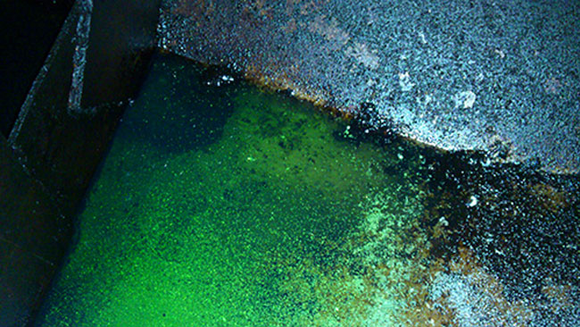 Bilden inifrån dieseltanken som startade misstankar om skattereducerad grönfärgad diesel på forumet Flashback. Foto: www.jenskiil.se