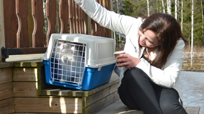 Fayrouz Kashmar tillsammans med sin katt Mela. Foto: Nyheter Idag