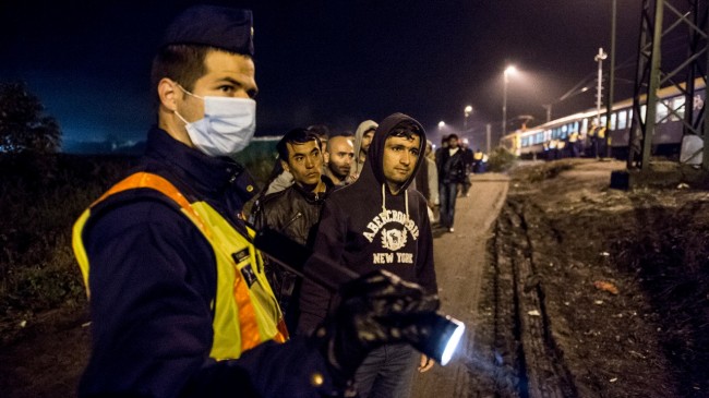 Migranter förs vidare till Österrike. Foto: Ungerns regering