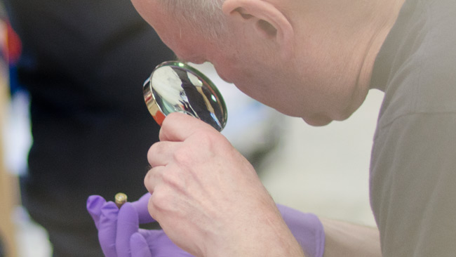 Polisens tekniker undersöker vad som ser ut att vara en tomhylsa. Foto: Nyheter Idag