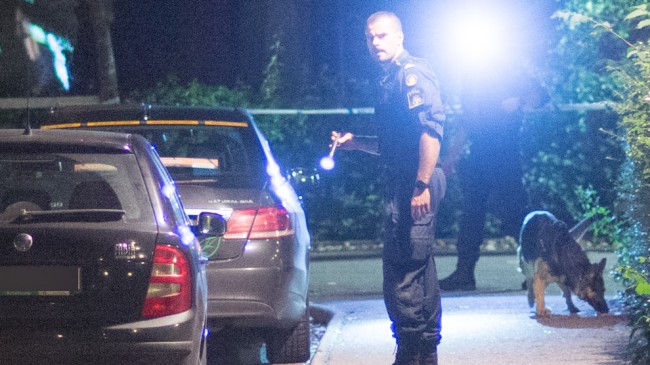 Enligt ögonvittnet sköts mannen vid samma plats där polisen står och lyser med ficklampa. Foto: Nyheter Idag