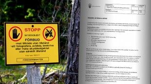 Foto: Wikimedia Commons