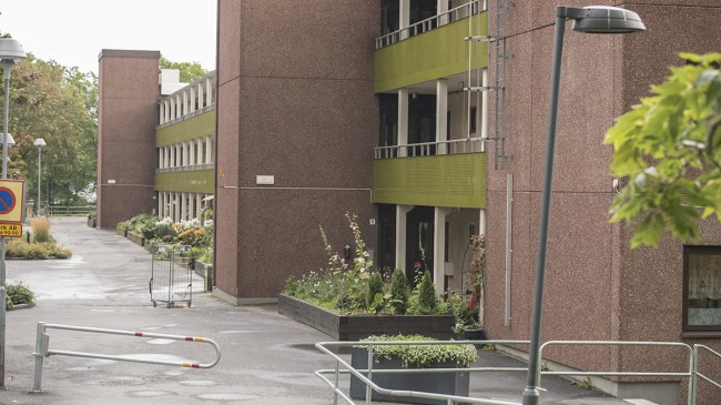 Foto: Nyheter Idag Foto: Nyheter Idag