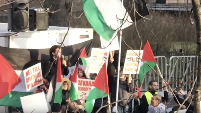 S-politikern lämnar sina uppdrag