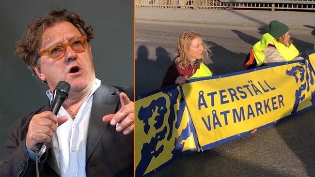 Οι ακτιβιστές για το κλίμα εισβάλλουν στη σκηνή - τότε ο Körberg σκέφτεται το μουνί