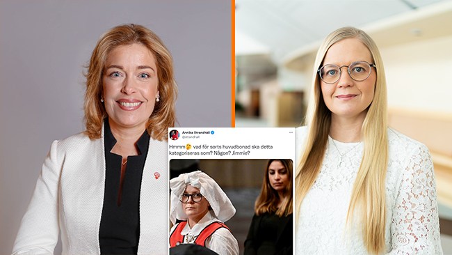 Hård kritik mot Strandhäll efter nytt Twitterhaveri