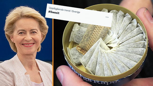 Snus Råtta Ramaskri efter läckta snusförslaget: ”Då lämnar vi EU” - Nyheter Idag