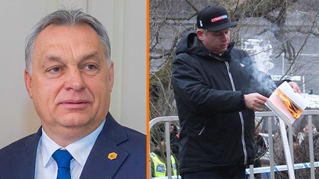 Ungern totalsågar koranbränningen och den blågula regeringen