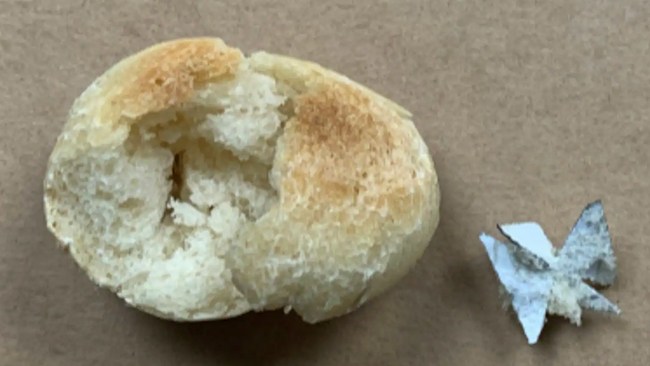 Äldre kvinna anhållen – misstänks för attentat mot hundar